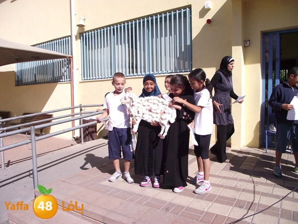 3ed el ad7a ajyal prime (14).JPG